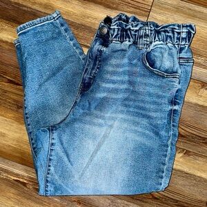 Terra & Sky High-Rise Paperbag Waist Jeans – Size 18W